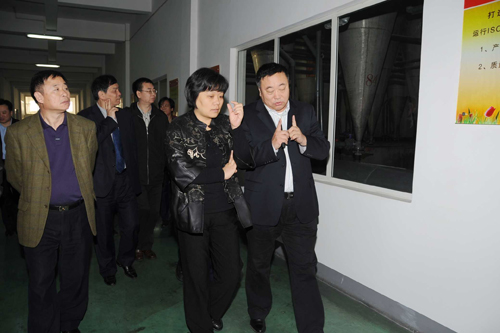 工信部劉樹蘋副司長一行到易成公司調(diào)研
